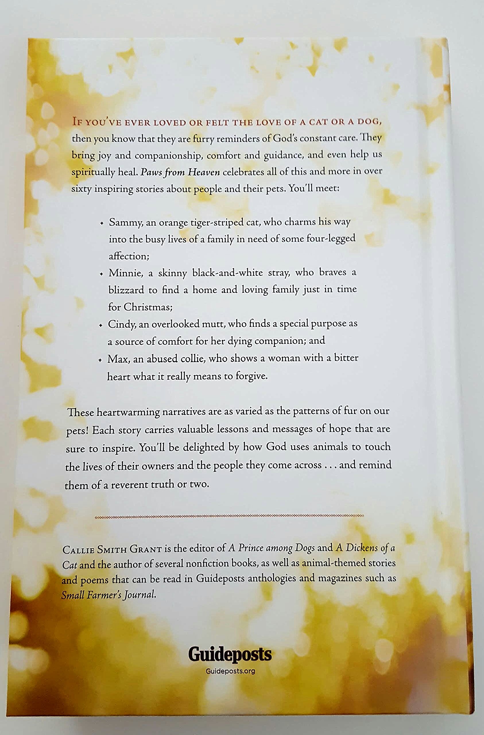 paws in heaven prices