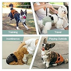 Female Dog Diapers - Premium Reusable Diapers for