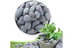 CJGQ 2.4LB River Rocks,Mexican Beach Pebbles for Plants,Potting,Garden Landscape Stone Paving Stone Grey 1Inch - 2Inch