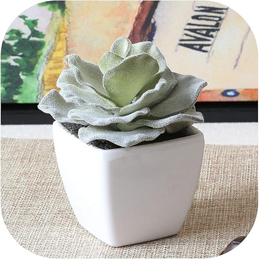 Amazon Com 1set Mini Potted Succulents Cactus Bonsai Artificial Flower Fake Floral For Wedding Home Party Decorative Potted Cabbage Kitchen Dining