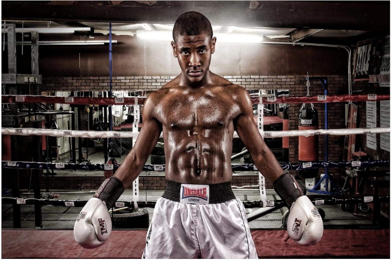 Amazon Ipea セクシーな筋肉のボクサーキャンバスポスター壁の装飾のためのカスタムプリント部屋の装飾家の装飾 23 62x35 43インチ 60x90cmフレームレス ウォールステッカー オンライン通販