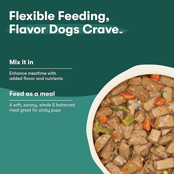 JINX BONE BROTH STEW FOR DOGS – BEEF & VEGETABLES RECIPE – GRAIN-FREE WET DOG FOOD & TOPPER FOR PICKY EATERS – PROMOTES LEAN MUSCLE GROWTH, A HEALTHY COAT & IMPROVED DIGESTION – 13 OZ, 12 PACK