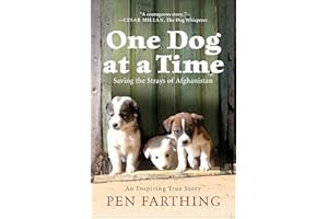 One Dog at a Time: Saving the Strays of Afghanistan