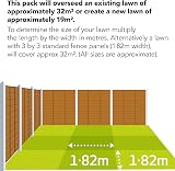 Miracle-Gro EverGreen Super Seed 1kg - 3 in 1 Lawn Seed & Feed view 3