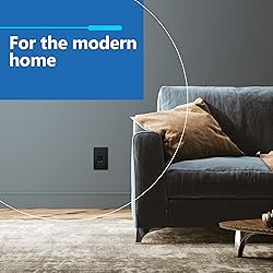 LIDER Brushed Finish Decorator Switch