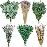 170 PCS Mixed Dried Eucalyptus Stems &amp; Lavender Flowers, 6 Varieties Preserved Eucalyptus Leaves for Shower Hanging, Dried Greenery for Vase Fillers, Wedding &amp; Bathroom Decor
