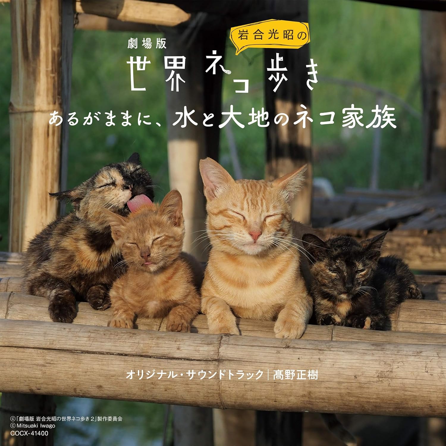 コンビニ受取対応商品 Nhk 岩合光昭の世界ネコ歩き Original Soundtrack 超歓迎 Iacymperu Org