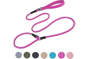 MOTAITY Slip Lead Dog Leash(6ft)，Strong Nylon Rope Leash Anti-Choking Anti-Pull and Outdoor Walking Training Lead for Small Medium Large Dogs (Fuchsia, 1/2"×6ft)