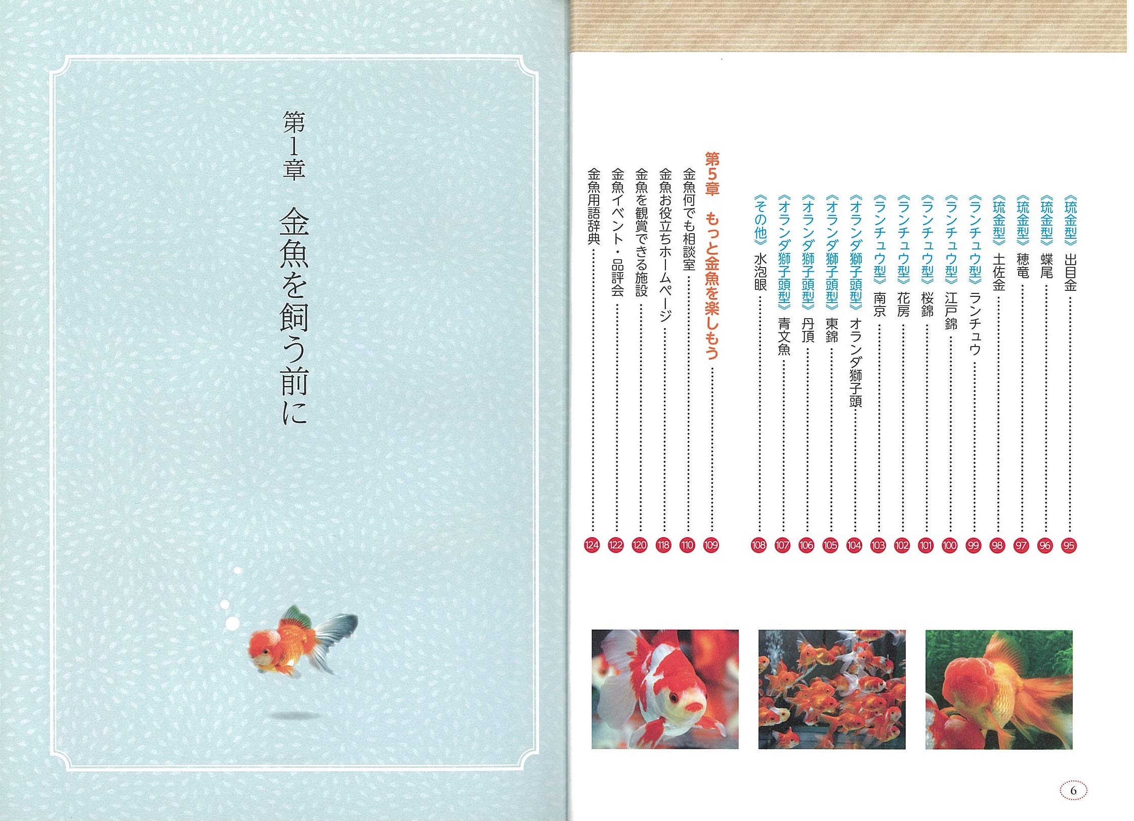 楽しい金魚の飼い方 プロが教える33のコツ 長く元気に育てる コツがわかる本 Amazon Co Uk Books