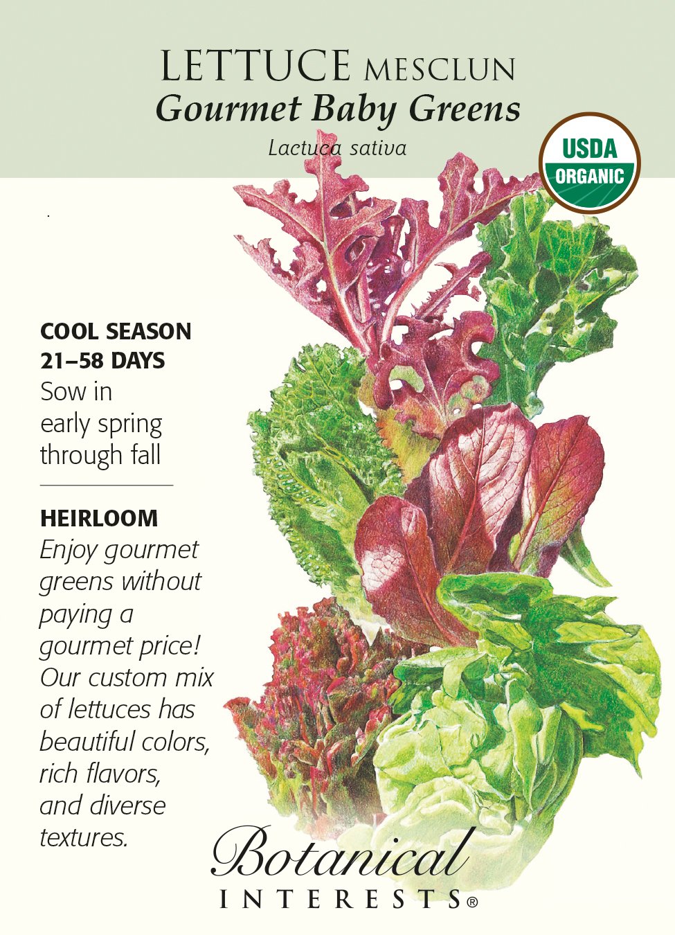 spring mix salad lettuce types
