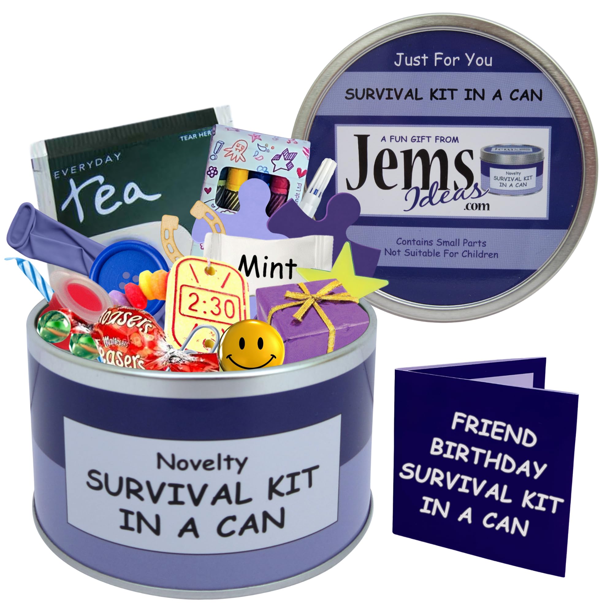 Birthday Survival Kit In A Can. Humorous Novelty Fun Gift Happy Birthday Present & Card All In One. Friend, Sister, Brother, Mum, Dad, Niece, Nephew, Aunt, Uncle, Cousin, Nan, Grandad. (Purple/Lilac)