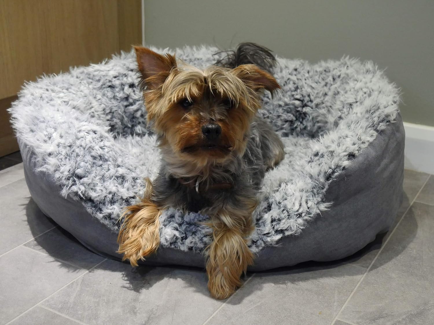 Rosewood Grey Lion Oval Dog Bed, Large, 80x65cm, 67 x 75 x 20 cm (L x W x H) - Image 4