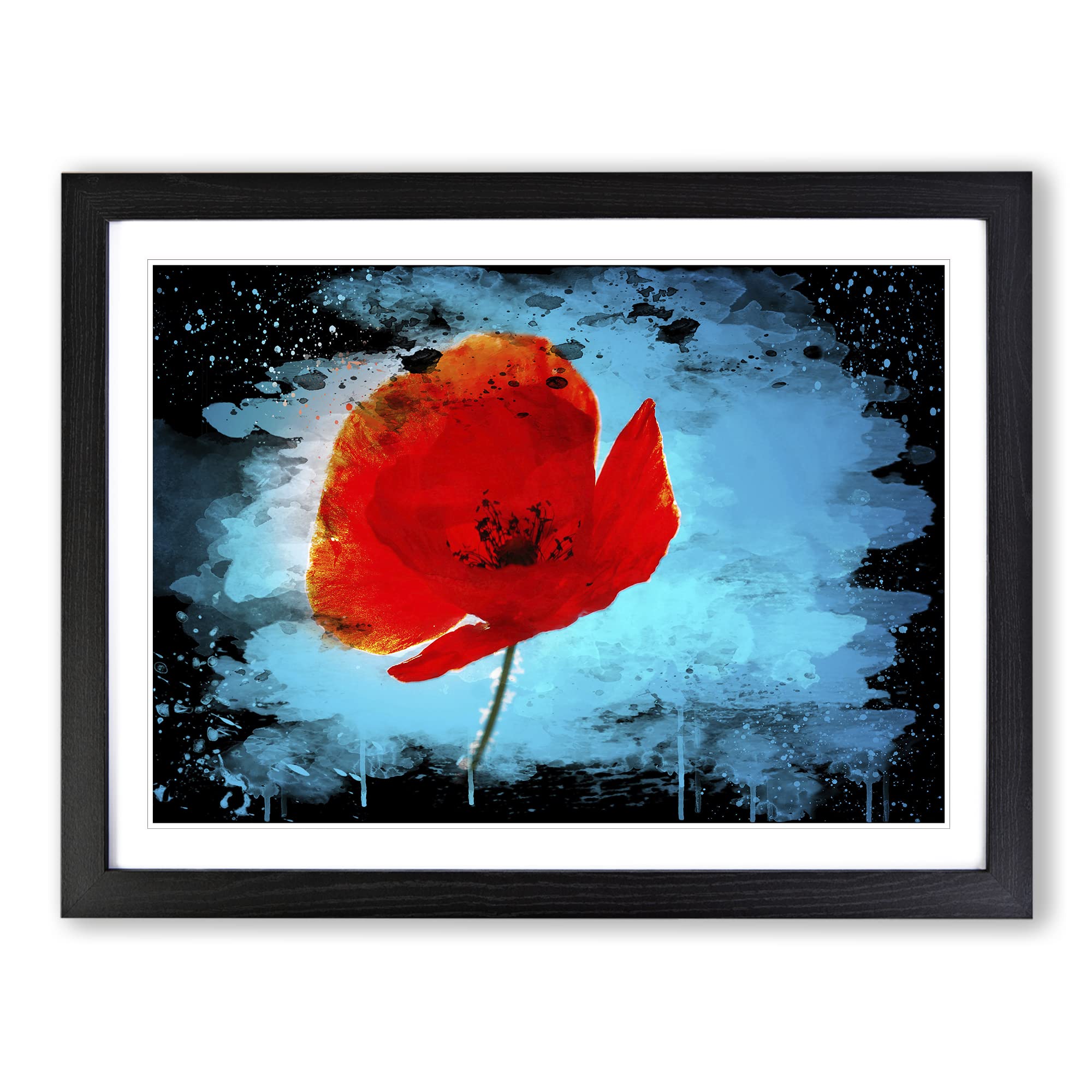 Red PModern OPpy Flower No.1 Modern CB Framed Wall Art Print, Ready to Hang Picture for Living Room Bedroom Home Office Décor, Black A3 (46 x 34 cm)