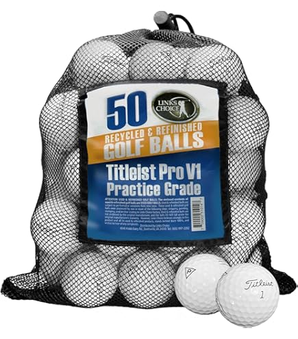 Amazon.com : Titleist Pro V1/Pro V1x Practice Quality 48 Golf