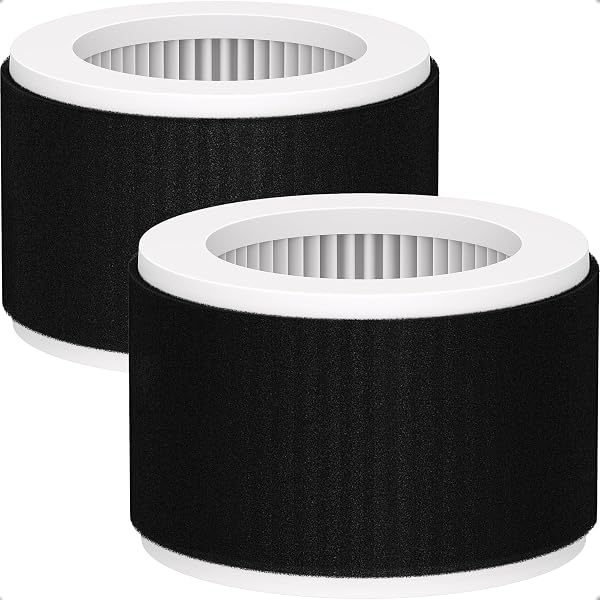 Amazon.com: EPI810 True HEPA Replacement Filter, Compatible with