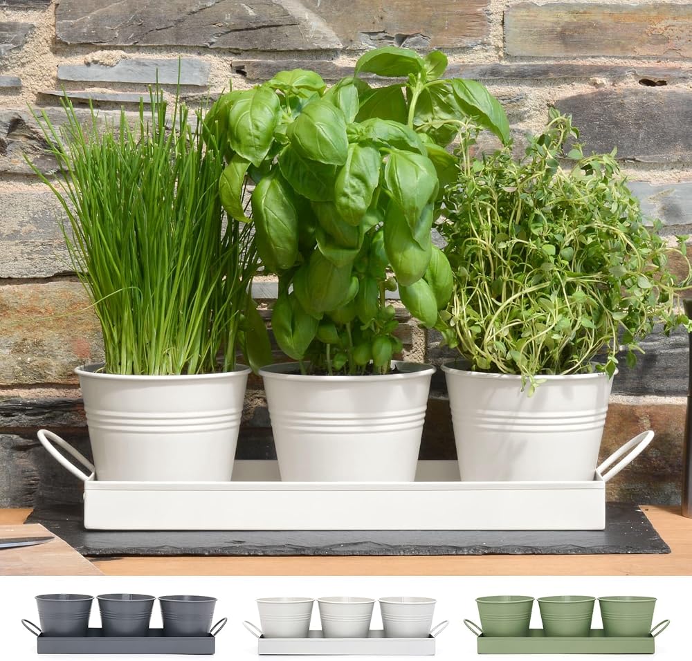 CKB LTD Set of 3 Metal Herb Pots with Drip Tray Chalk White 4.5in pots