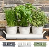 CKB LTD Set of 3 Metal Herb Pots with Drip Tray Chalk White 4.5in pots