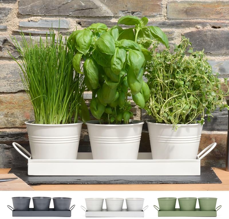 CKB LTD Set of 3 Metal Herb Pots with Drip Tray Chalk White 4.5in pots