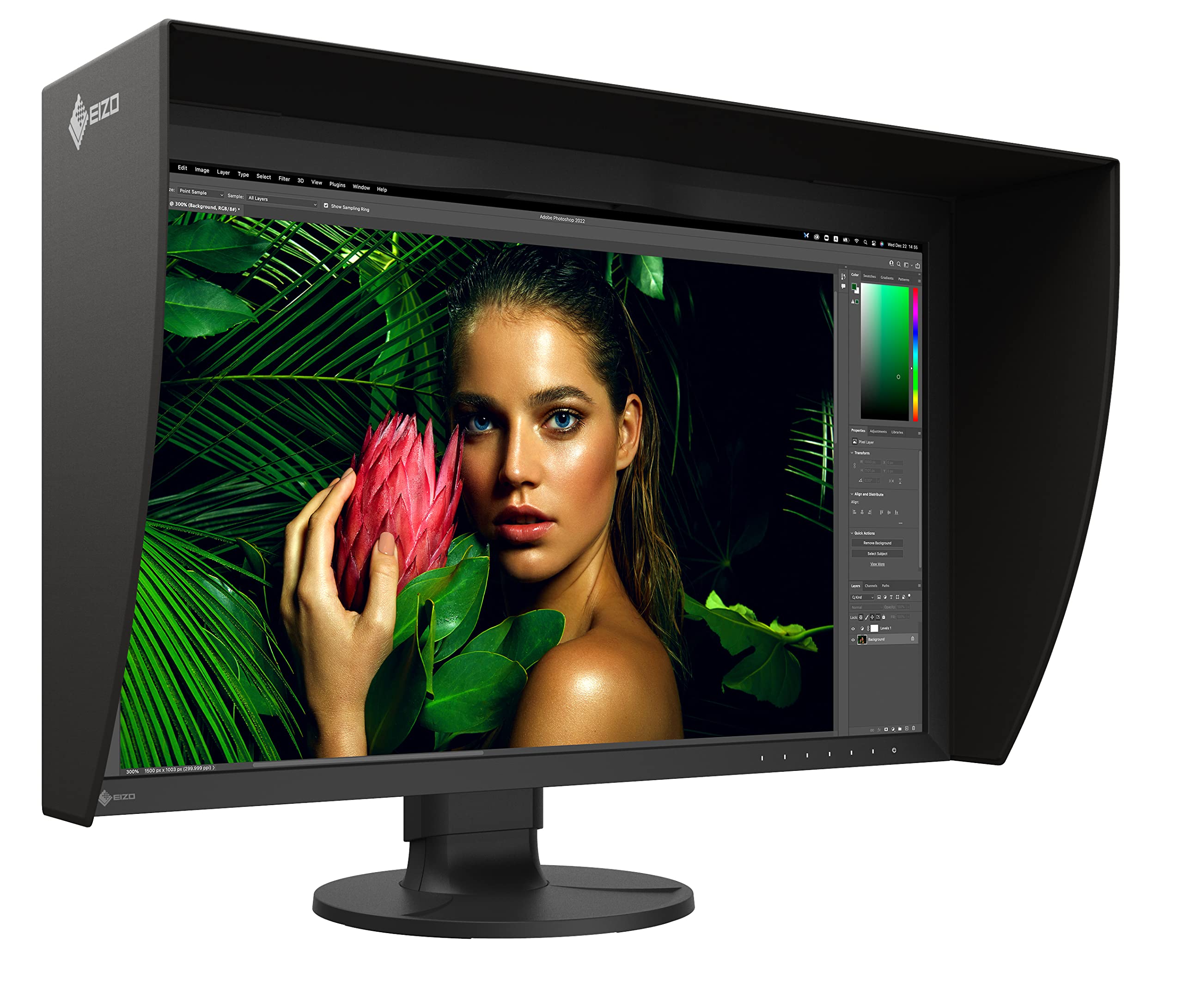 EIZO ColorEdge CG2700S-BK 27" Class WQHD LCD Monitor - 16:9 - Black