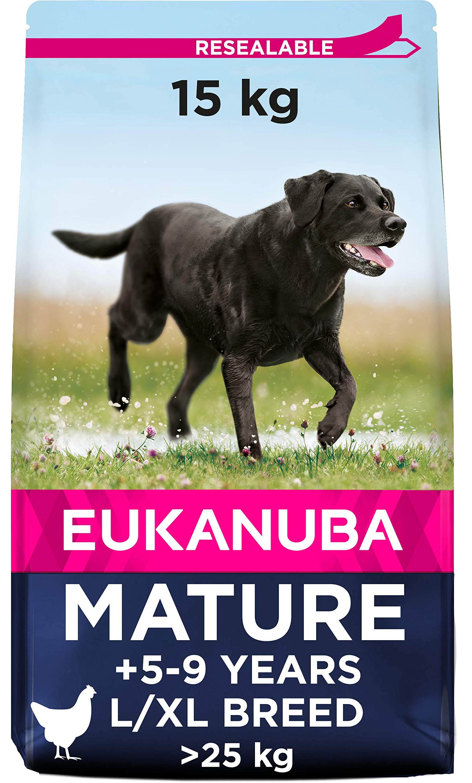 eukanuba senior large breed 15 kg