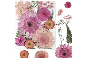 HOPELJ Dried Flowers for Resin, Natural Pressed Flowers and Leaves for Scrapbooking DIY Art Crafts, Epoxy Resin Jewelry Molds, Candle, Soap Making, Nails Art and Phone Case Décor