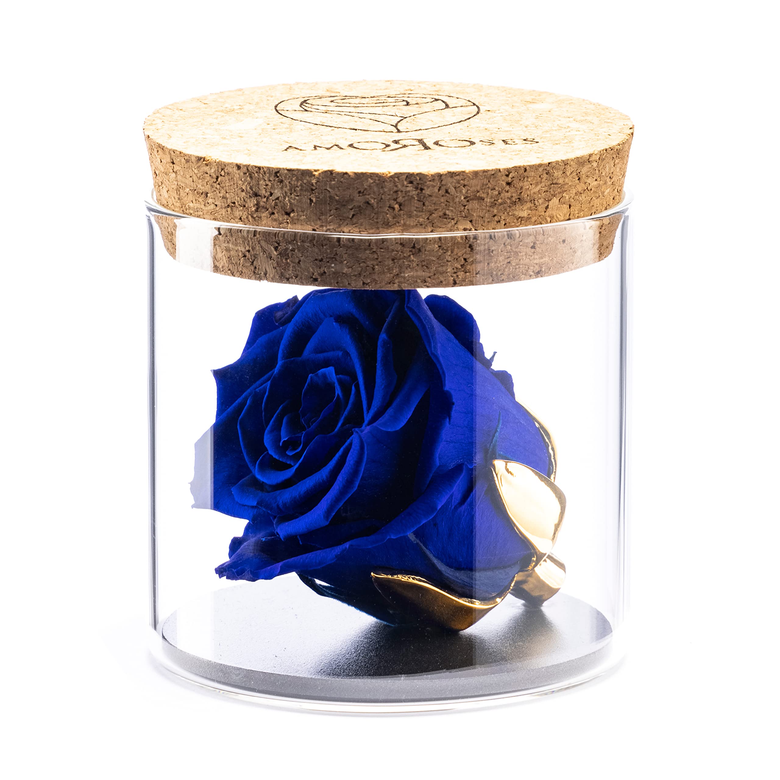 Amoroses Bijou - Eternal Stabilised Rose with 24K Gold Plated Calyx in Glass Jar | Gift Idea (Royal Blue Rose)