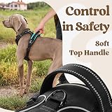 rabbitgoo Dog Harness Small Adjustable No Pull Reflective Front Back Clips view 5