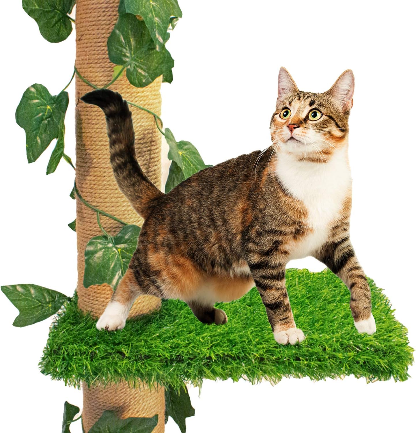 Downtown Pet Supply Tall Cat Activity Tree with 4 Levels and Sisal Scratching Posts with Securing Mechanism (Tall 4-Level Scratch Post) : Pet Supplies