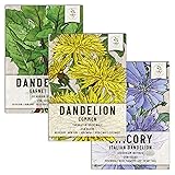 Seed Needs, Dandelion Seed Packet Collection