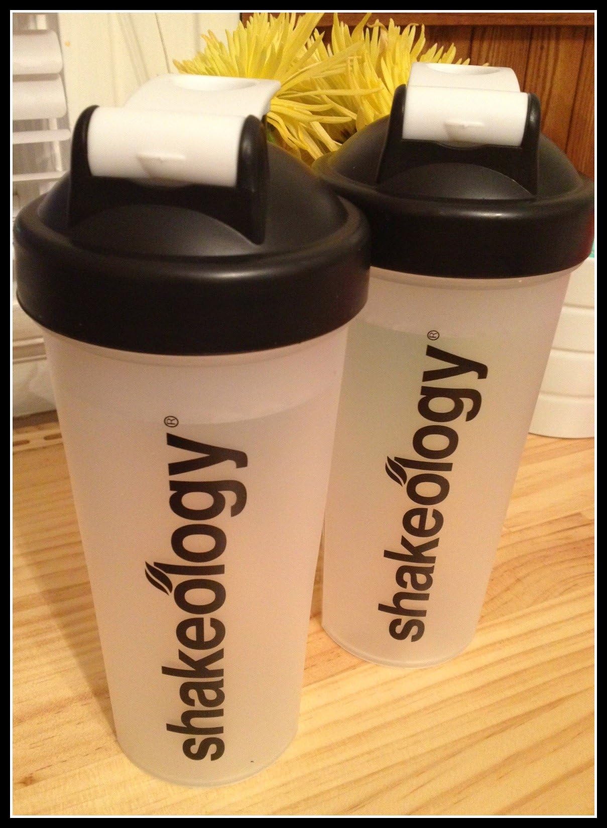 SHAKEOLOGY SHAKER CUP (1 cup)