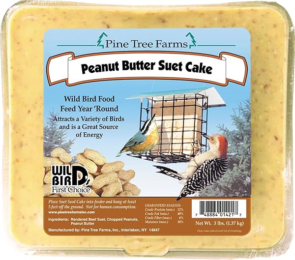 CASE PACK OF PINE TREE FARMS PEANUT BUTTER SUET CAKES, BROWN, 3 LBS.