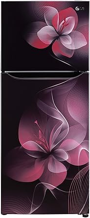 LG 260 L 2 Star Smart Inverter Frost-Free Double Door Refrigerator (GL-S292DPDY, Scarlet Dazzle, Convertible)
