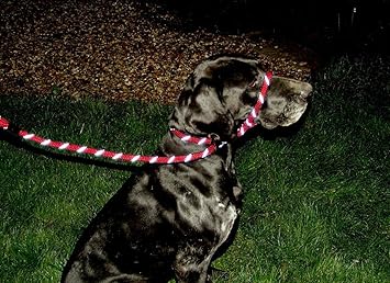 dog and field figure of 8 lead