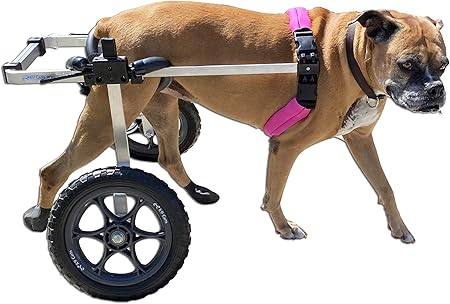 silla de ruedas para perros amazon