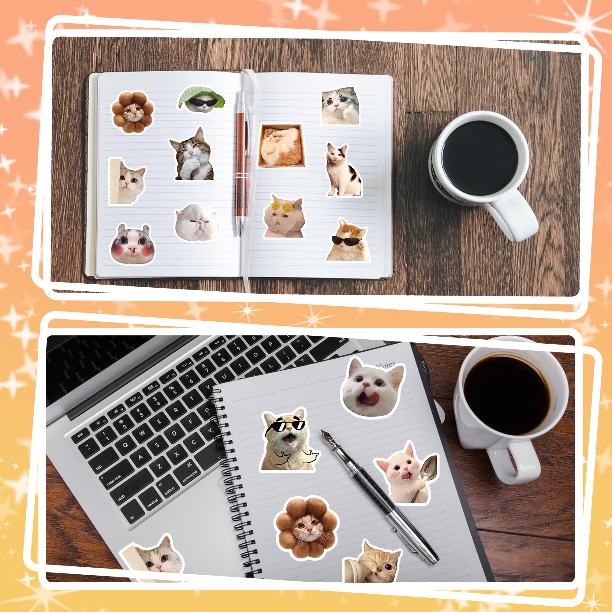 Mua 100 Pcs Cat Meme Stickers, Funny Cat Stickers, Cute Cat Stickers ...