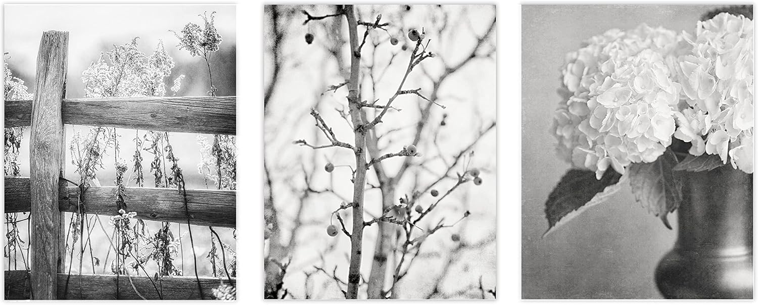 Photographs - Lisa Russo Fine Art - Black and White Wall Art Set of 3 Prints, Unframed, Black and White Pictures for Country Minimalist Nature Wall Decor, Rustic Black and White Photographs (11x14