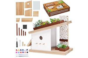 RIOYCHAN Modern Birdhouse Woodworking Kit, Build Your Own DIY Bird House Kit for Kids and Adults, DIY Woodcraft Building Projects with Paint Set