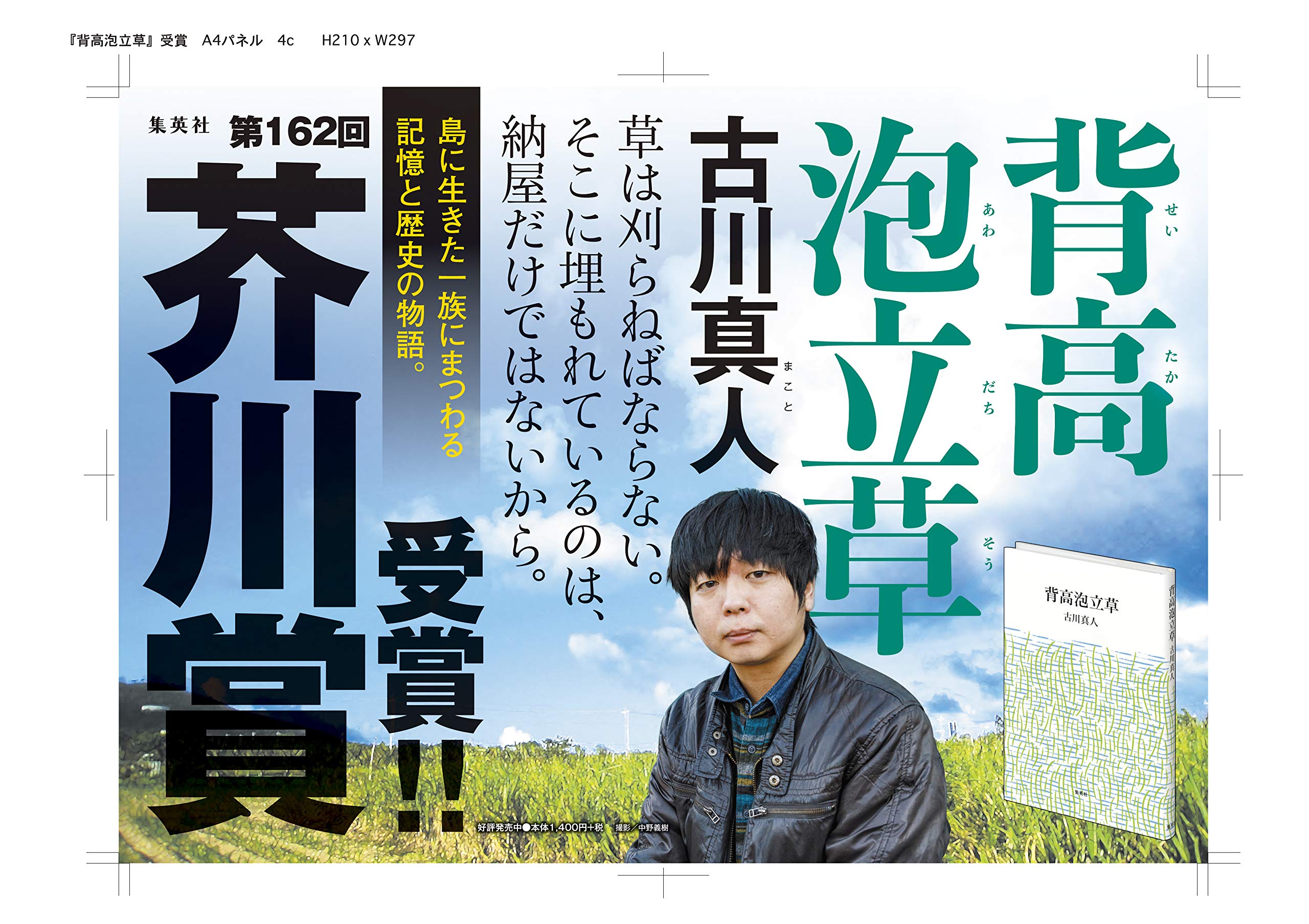 背高泡立草 古川 真人 本 通販 Amazon