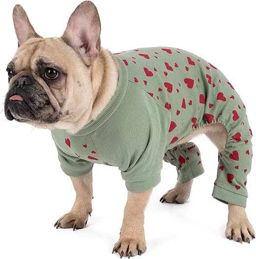 matching dog pajamas amazon