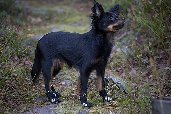 rukka dog boots