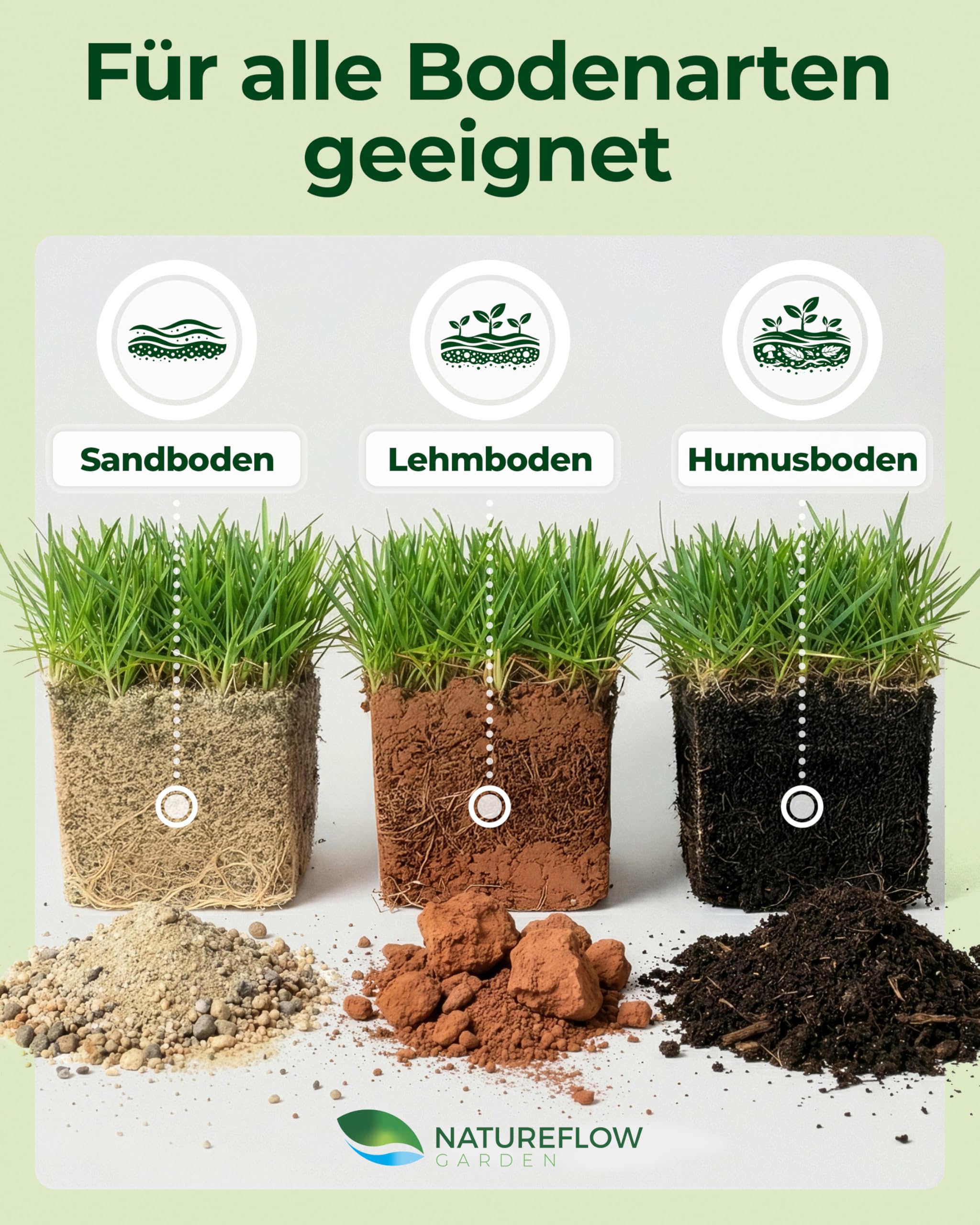 Rasensamen Schnellkeimend Frühjahr – TEST SEHR GUT – Grassamen Schnellkeimend für Rasen & Rasen Nachsaat 1kg 40qm – Rasensaat für Nachsaat Rasen Frühjahr, Saisonstart, kräftiges Wachstum 8