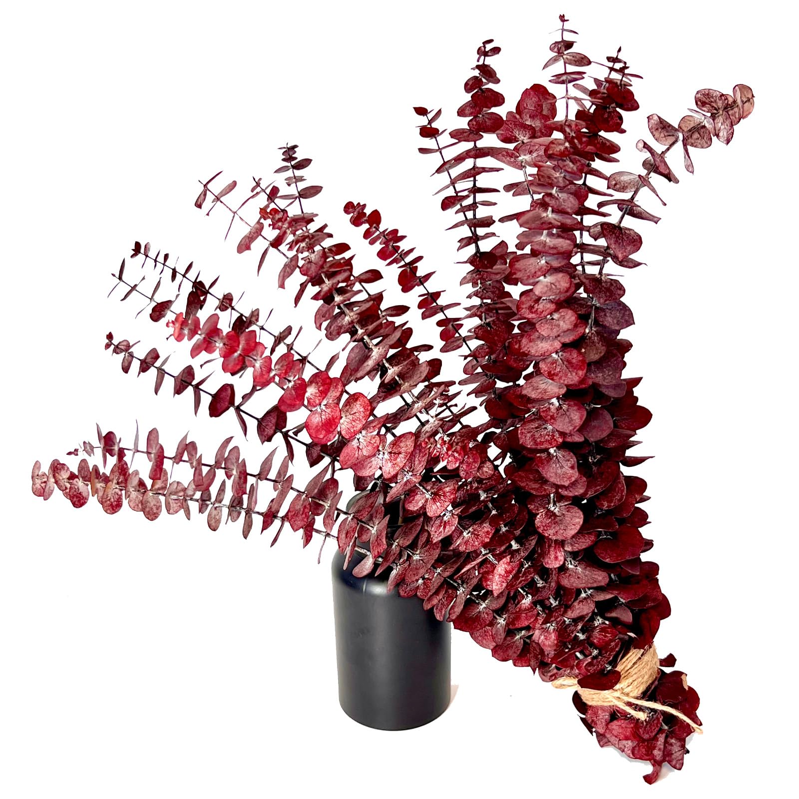 Photo 1 of (20Pcs) Dried Eucalyptus Stems - Red, Fall Decorations for Home, Real Long Eucalyptus, Dried Flowers for Vase, 17" Floral Arrangement, Wedding