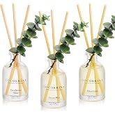 COCORR&Iacute;NA Reed Diffuser Set of 3 with Dried Eucalyptus for Home &amp; Office | Eucalyptus &amp; Moss/Clean Linen/Ocean Mist Scents,Aromatherapy Scented Oil Diffusers, 1.7 oz Each, Total 5.1 oz