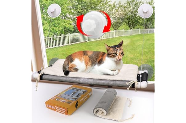 best cat window perches