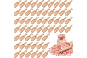 100 PCS Mini Wooden Spoons for Bath Salt 3" L Small Wooden Spoons Bulk Beech Wood Spoon with Handle Tiny Teaspoon for Sugar, 