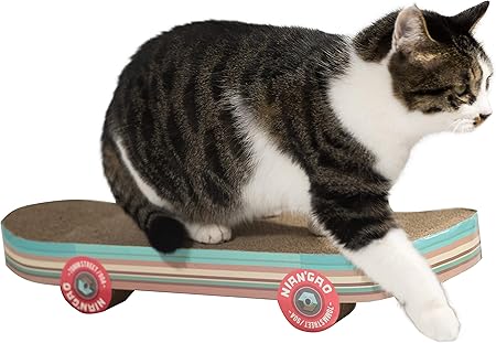 amazon cat scratcher cardboard