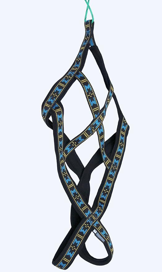 sled dog harness amazon
