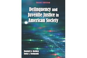 Delinquency and Juvenile Justice in American Society, Third Edition