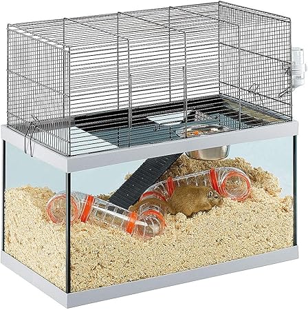 gerbil glass tank