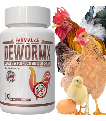 Amazon.com: Super B12 5500 Con Hierro L - Carnitina Booster para Gallo -  Suplementos para aves de corral Gallina Pollo FARMAVET BIOVETPHARMA  LUVAROBLLC : Productos para Animales